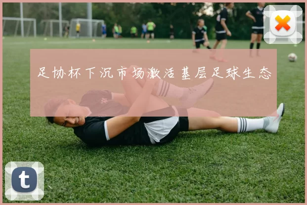 足协杯下沉市场激活基层足球生态
