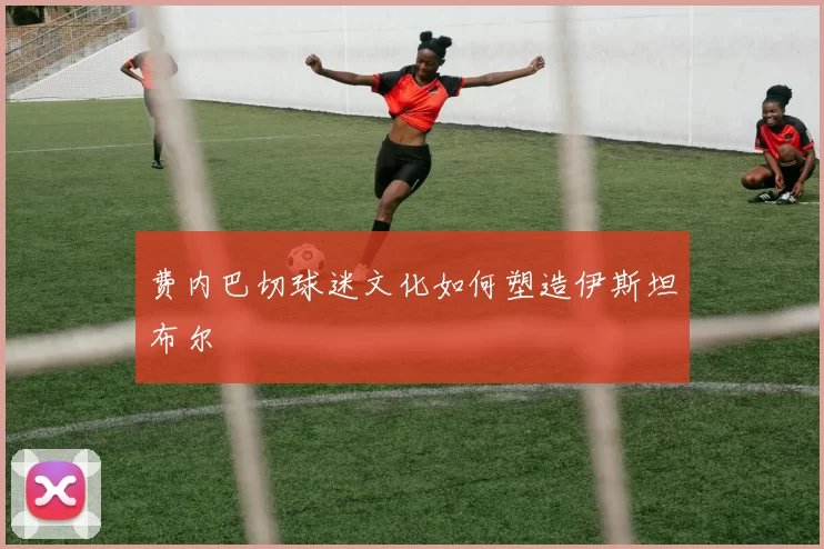 费内巴切球迷文化如何塑造伊斯坦布尔