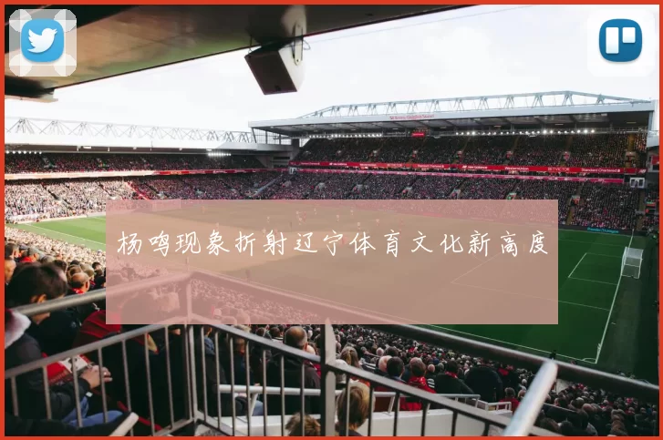 杨鸣现象折射辽宁体育文化新高度