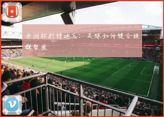 非洲杯科特迪瓦：足球如何缝合族群裂痕