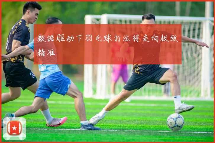 数据驱动下羽毛球打法将走向极致精准