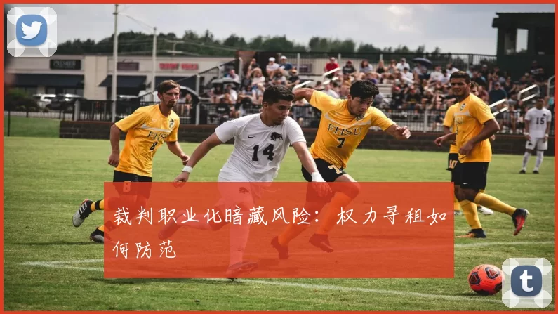 裁判职业化暗藏风险：权力寻租如何防范