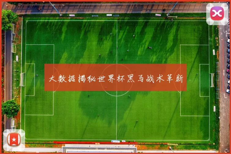 大数据揭秘世界杯黑马战术革新