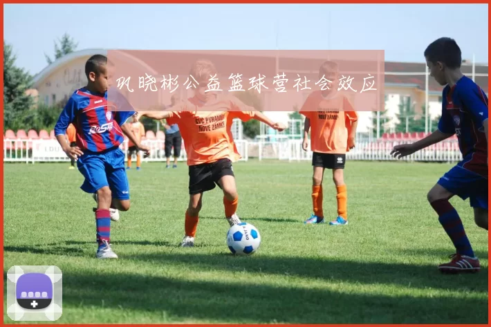 巩晓彬公益篮球营社会效应