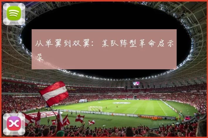 从单翼到双翼：某队阵型革命启示录