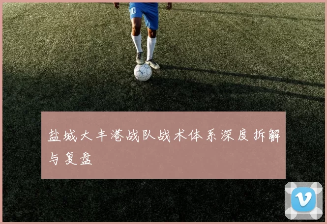 盐城大丰港战队战术体系深度拆解与复盘