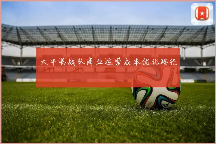 大丰港战队商业运营成本优化路径