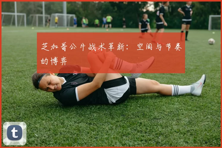 芝加哥公牛战术革新：空间与节奏的博弈