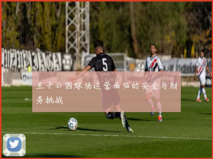 王子公园球场运营面临的安全与财务挑战