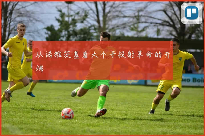 从诺维茨基看大个子投射革命的开端