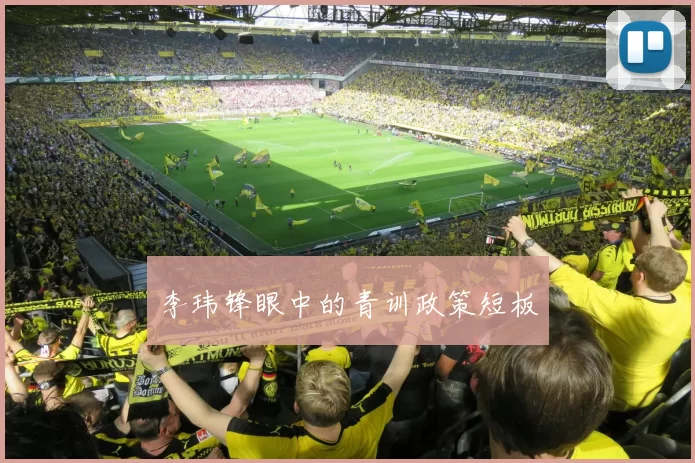 李玮锋眼中的青训政策短板
