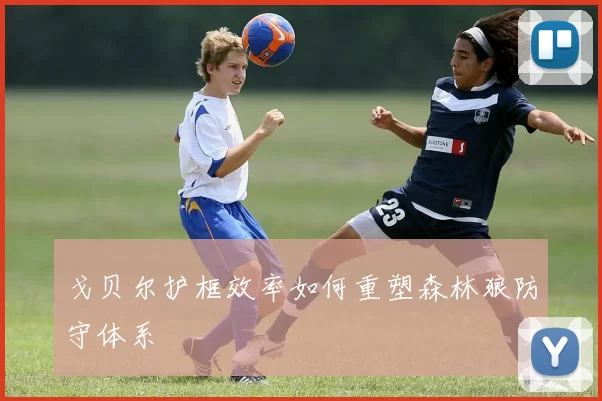 戈贝尔护框效率如何重塑森林狼防守体系
