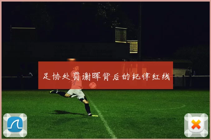 足协处罚谢晖背后的纪律红线