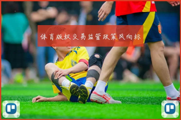 体育版权交易监管政策风向标