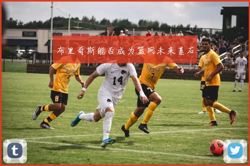 布里奇斯能否成为篮网未来基石