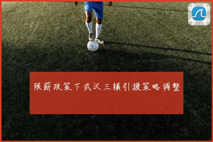 限薪政策下武汉三镇引援策略调整