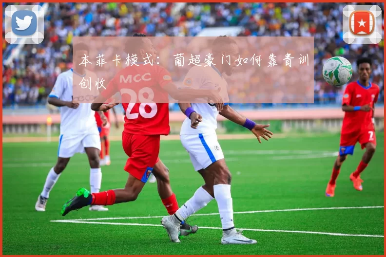 本菲卡模式：葡超豪门如何靠青训创收