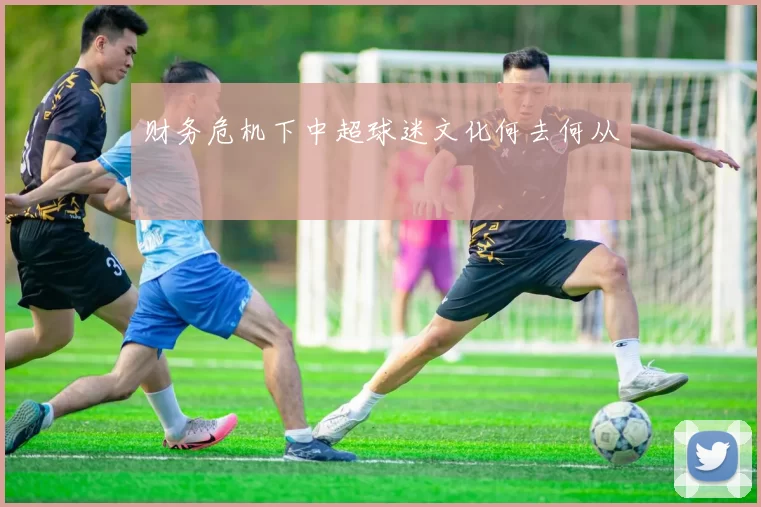 财务危机下中超球迷文化何去何从