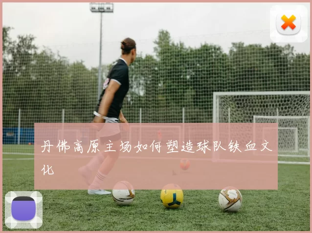 丹佛高原主场如何塑造球队铁血文化