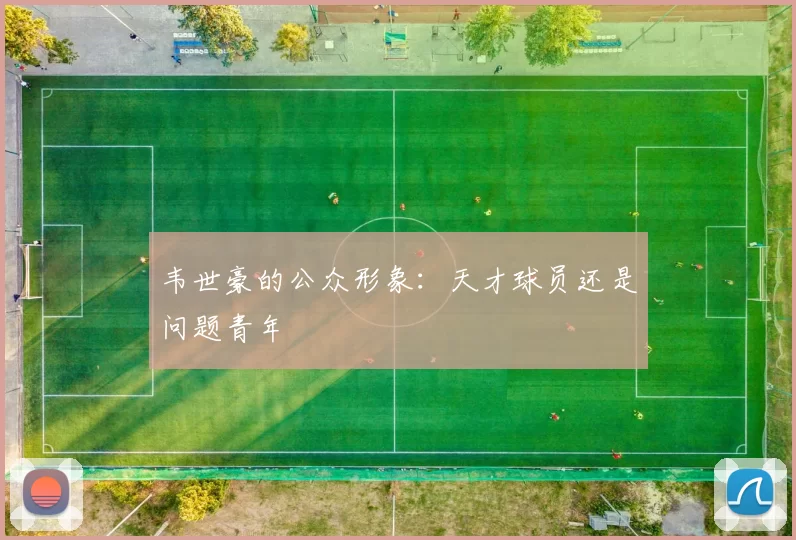 韦世豪的公众形象：天才球员还是问题青年