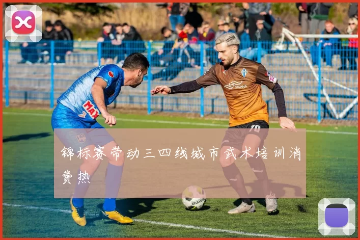 锦标赛带动三四线城市武术培训消费热