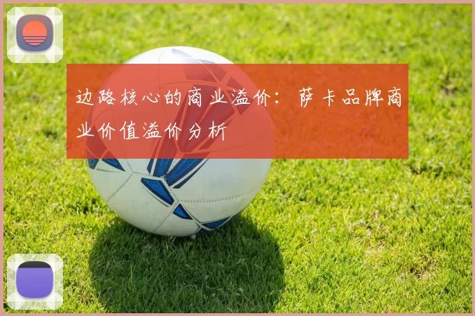 边路核心的商业溢价：萨卡品牌商业价值溢价分析