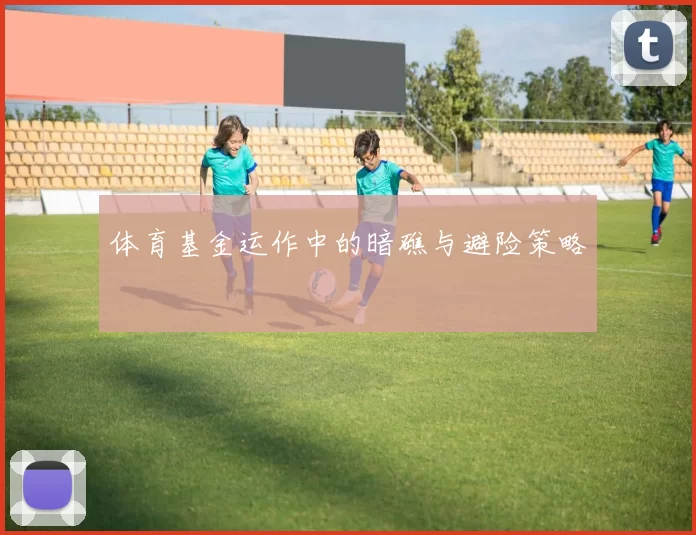 体育基金运作中的暗礁与避险策略