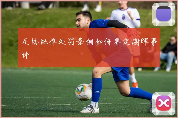 足协纪律处罚条例如何界定谢晖事件