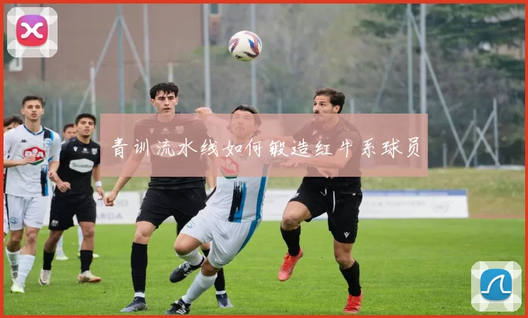 青训流水线如何锻造红牛系球员