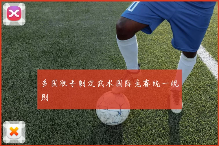 多国联手制定武术国际竞赛统一规则