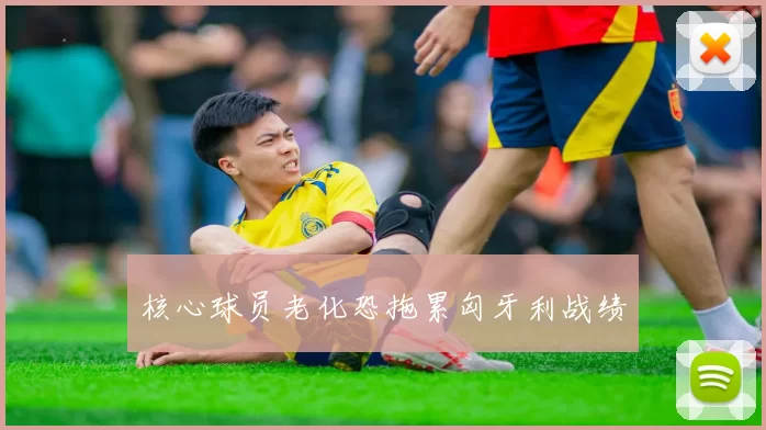 核心球员老化恐拖累匈牙利战绩
