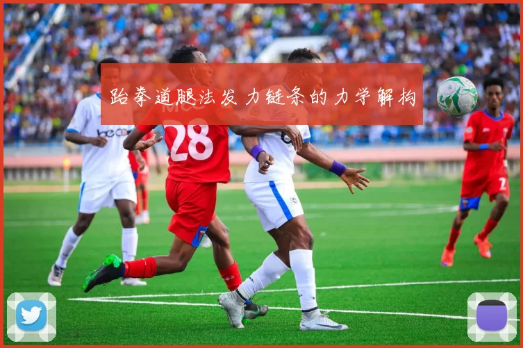 跆拳道腿法发力链条的力学解构