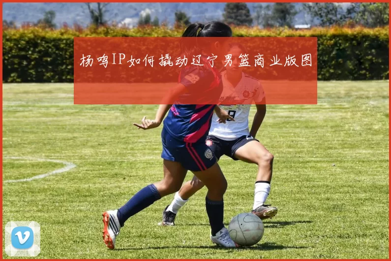 杨鸣IP如何撬动辽宁男篮商业版图