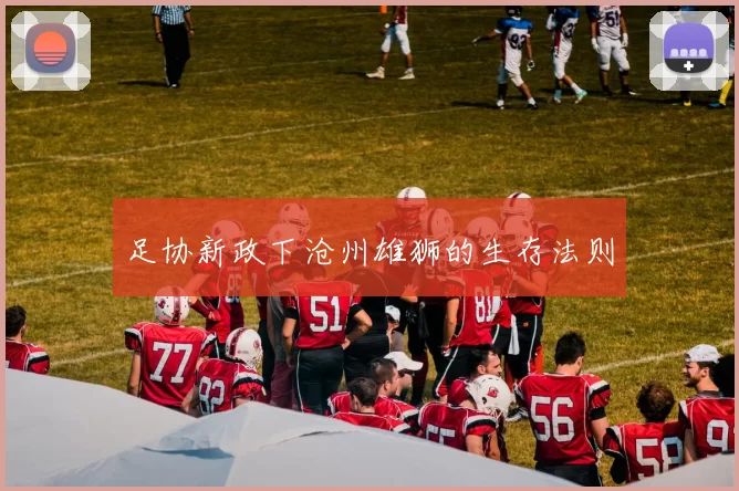 足协新政下沧州雄狮的生存法则