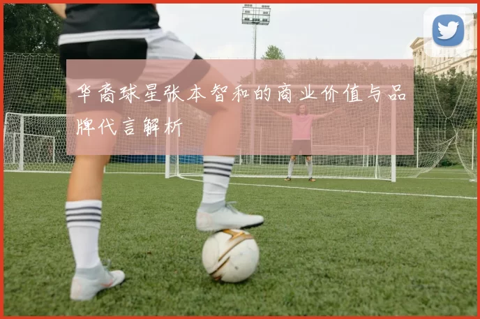 华裔球星张本智和的商业价值与品牌代言解析