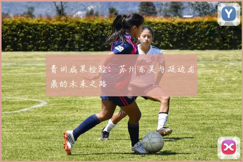 青训成果检验：苏州东吴与延边龙鼎的未来之路