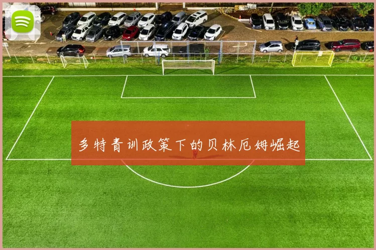 多特青训政策下的贝林厄姆崛起