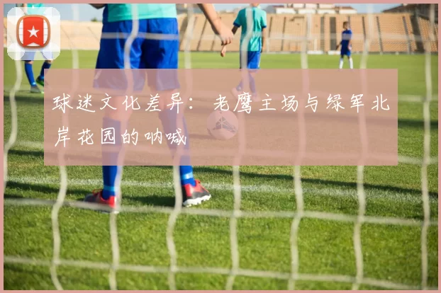 球迷文化差异：老鹰主场与绿军北岸花园的呐喊