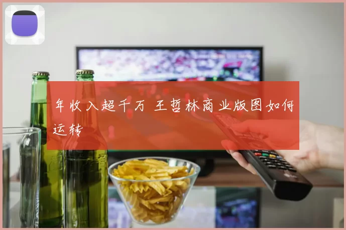 年收入超千万 王哲林商业版图如何运转