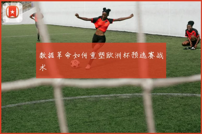数据革命如何重塑欧洲杯预选赛战术